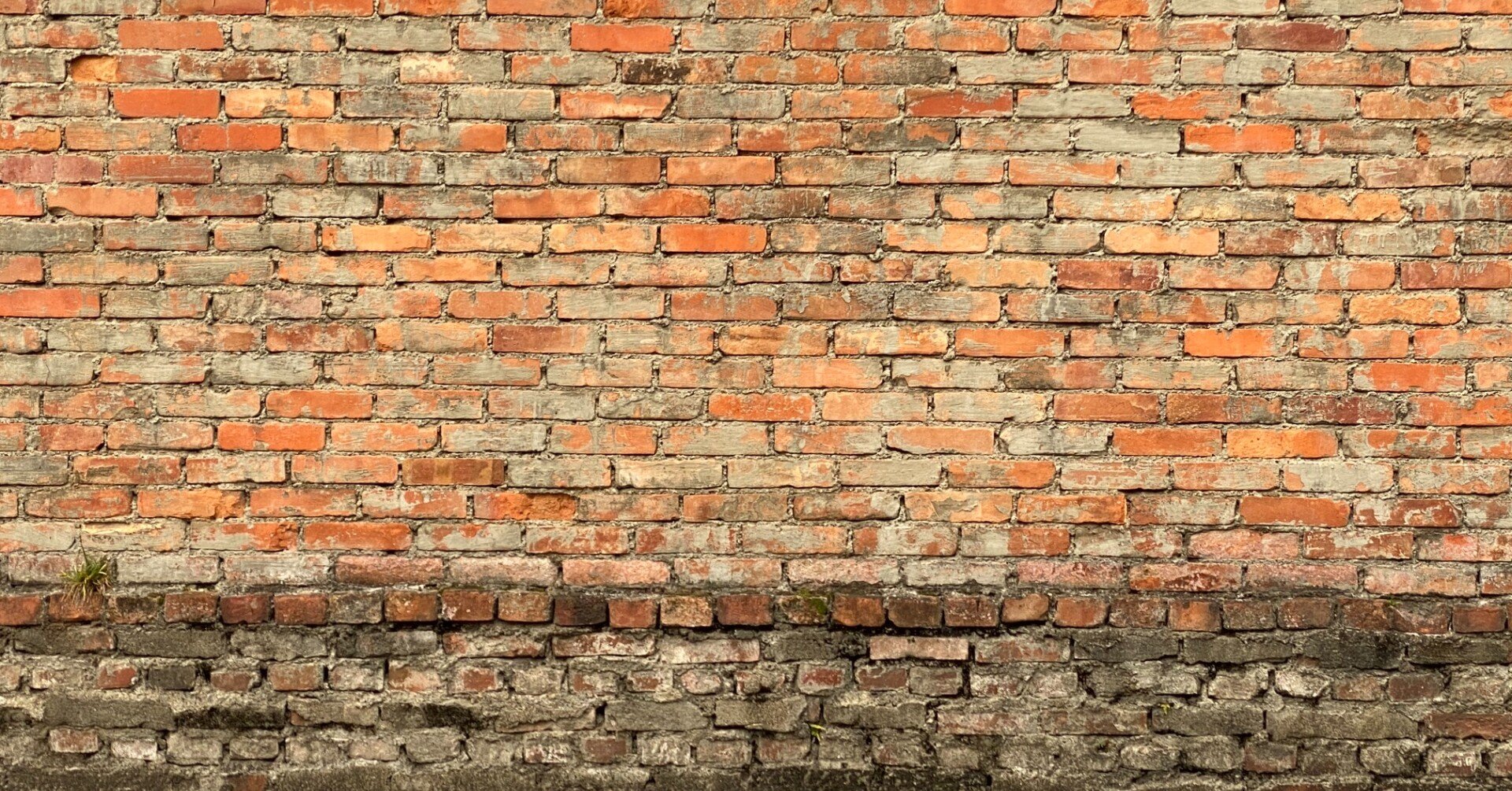 塚本邦雄全歌集 第一巻』を買ってみた｜虫追篤