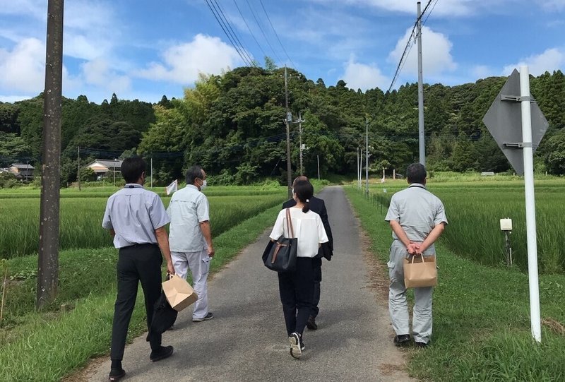 田んぼ見学2