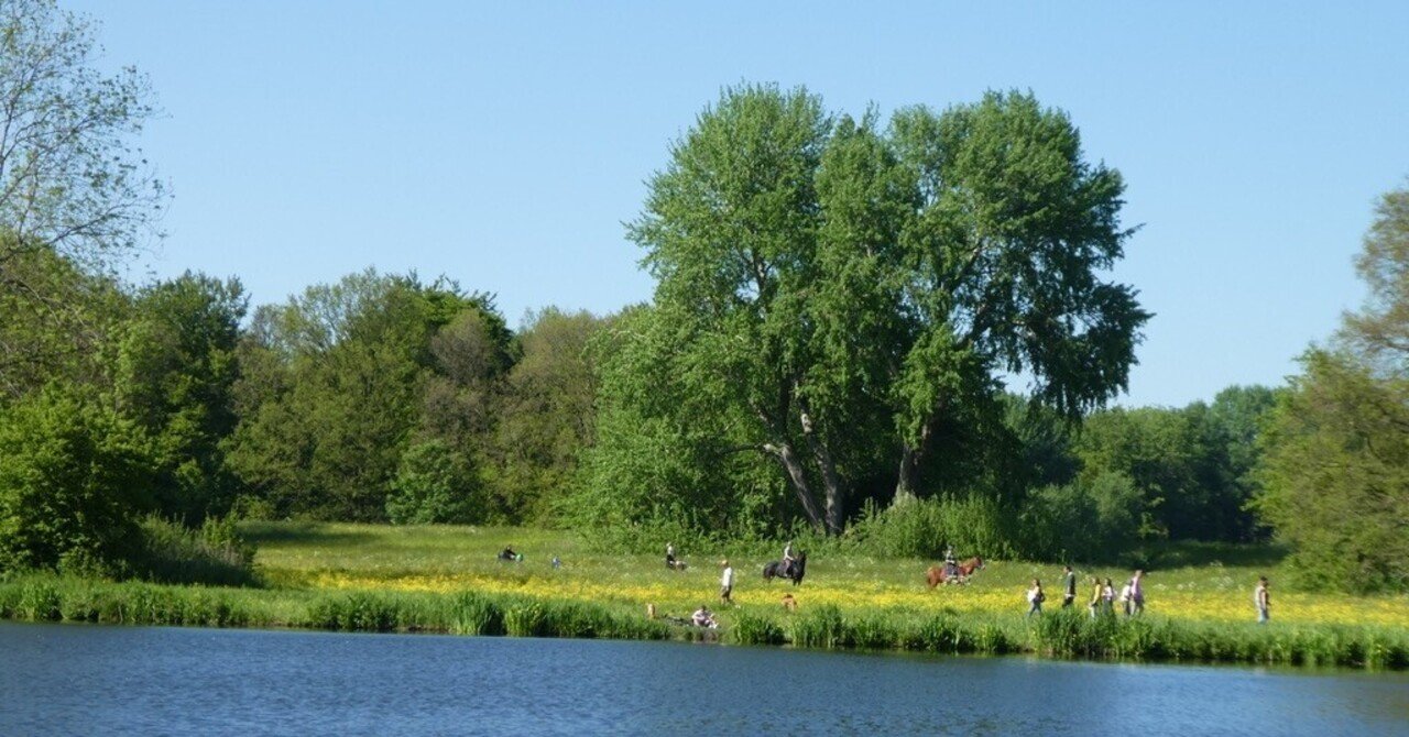 ファウンデーションイヤーを終えて オランダ留学 Akari Nl Note