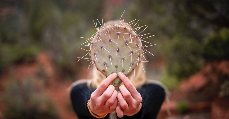 プレフェミン の新着タグ記事一覧 Note つくる つながる とどける