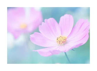 医療の闇 の新着タグ記事一覧 Note つくる つながる とどける