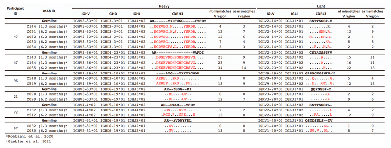 中和抗体の親和性成熟 表S1