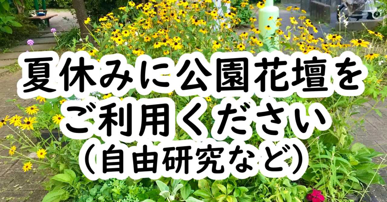 公園花壇は自由研究ネタの宝庫 向井愛 Note