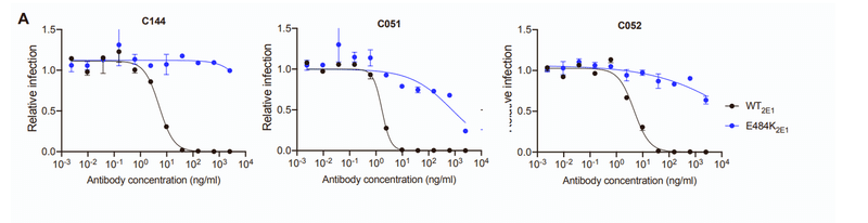 中和抗体の親和性成熟 図S2A