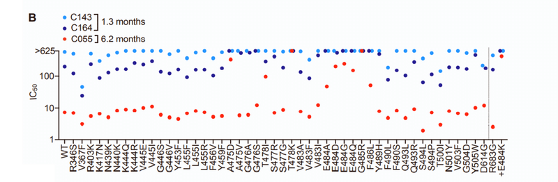 中和抗体の親和性成熟 図S2B