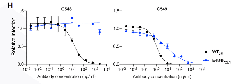 中和抗体の親和性成熟 図1H