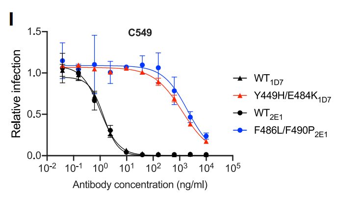 中和抗体の親和性成熟 図1I