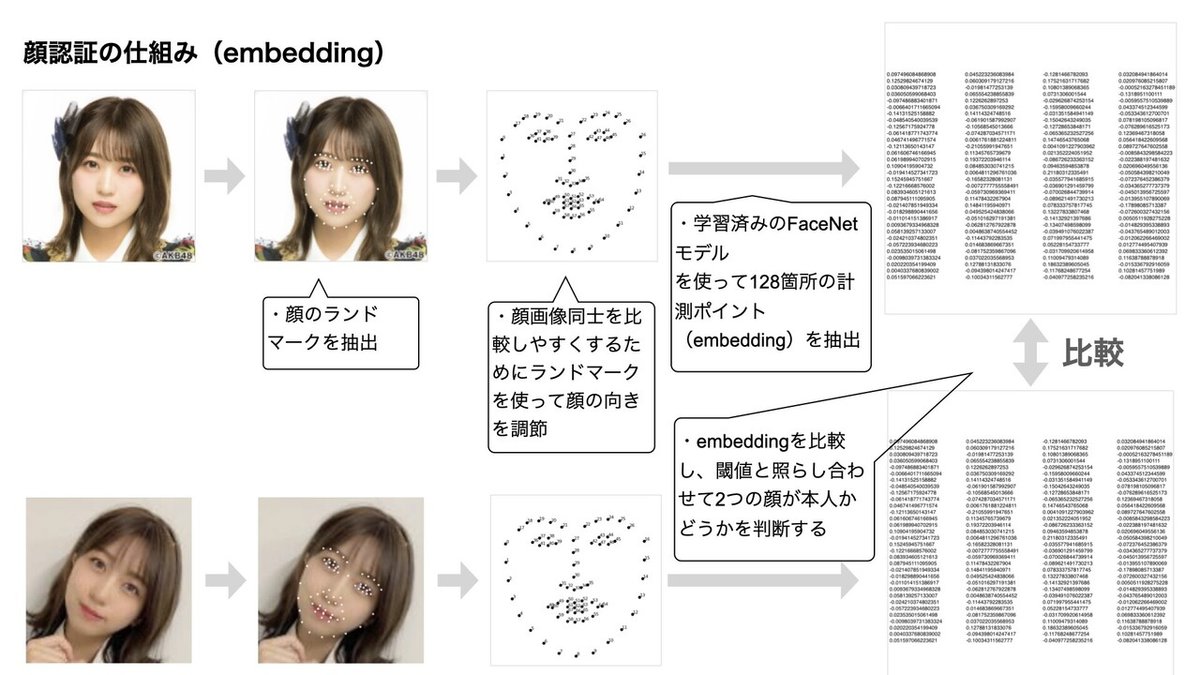 画像14