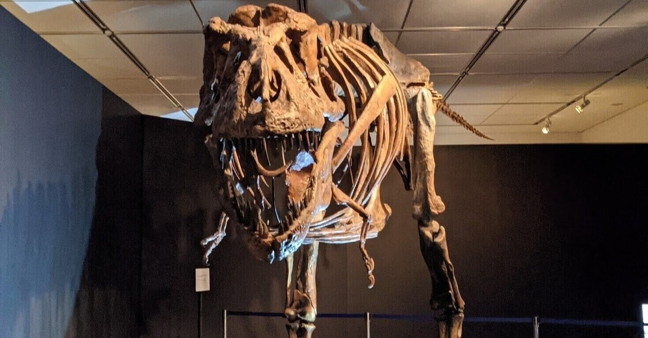 rectangle_large_type_2_d0af9a3