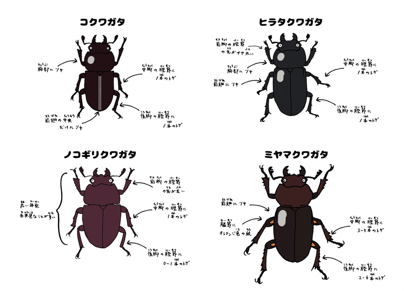 アセット 4xxxhdpi