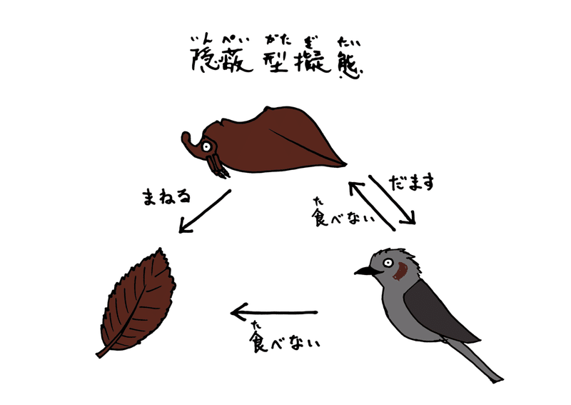 アセット 16xxxhdpi