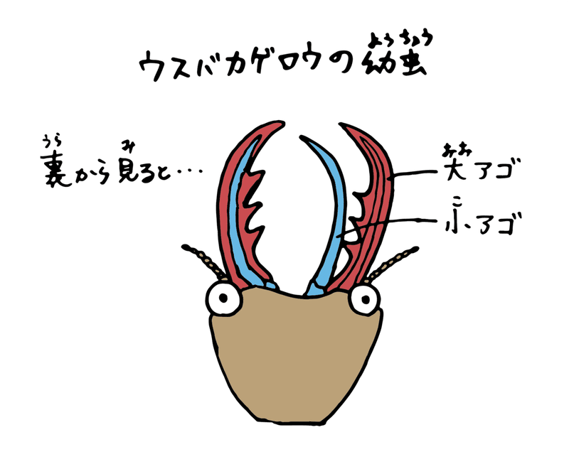 アセット 4xxxhdpi