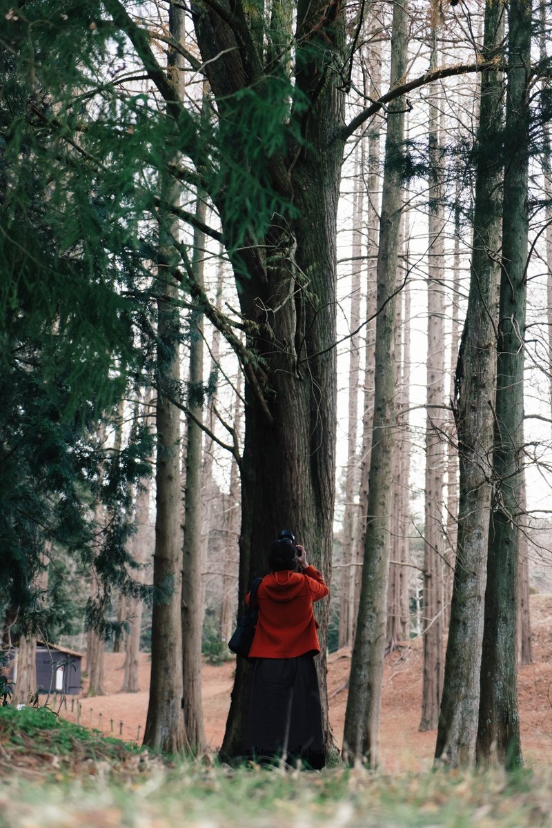 研究のための大阪市立大学 理学部附属植物園が写真スポット Note