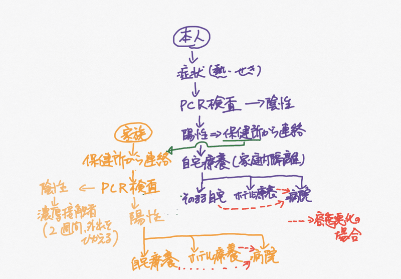 コロナ感染後チャート