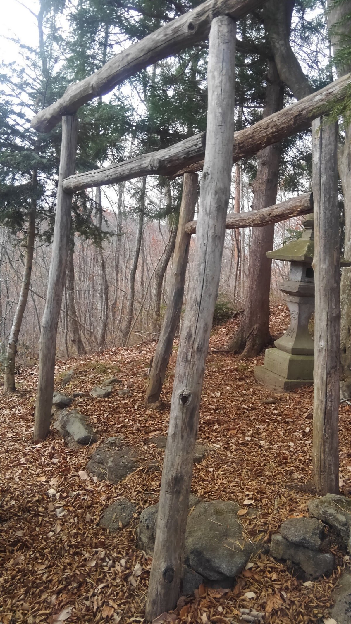 完全不明神社 (10)