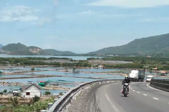 画像16
