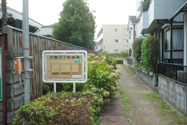 画像13