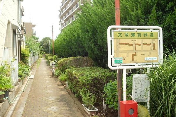 画像14