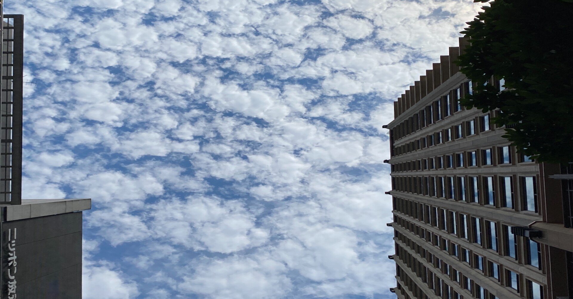 Hide ピンク スパイダー はスマホ時代を予測していた 前編 ジョニー小野 Note