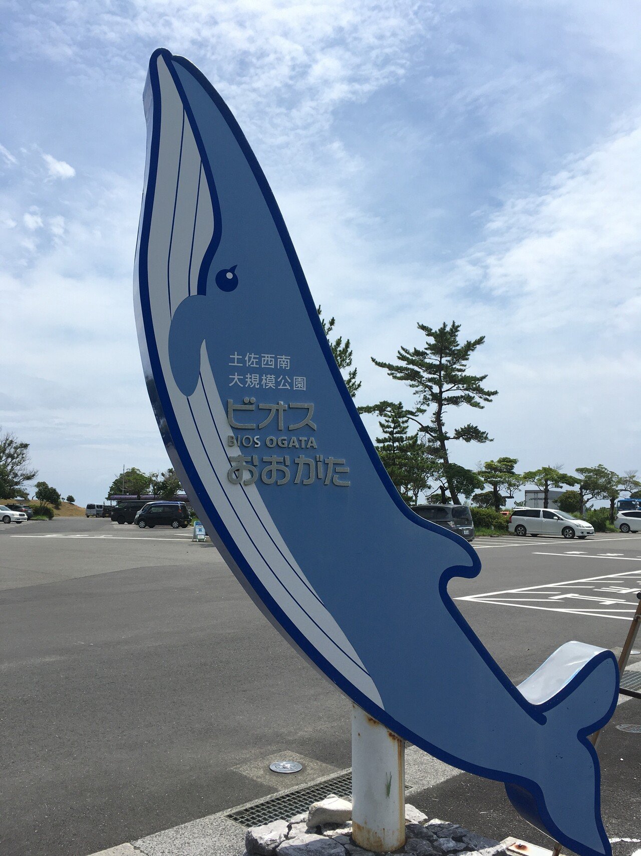 34mu201dに負けず、美味しさギュッと 黒潮町缶詰製作所ー高知県黒潮町② 