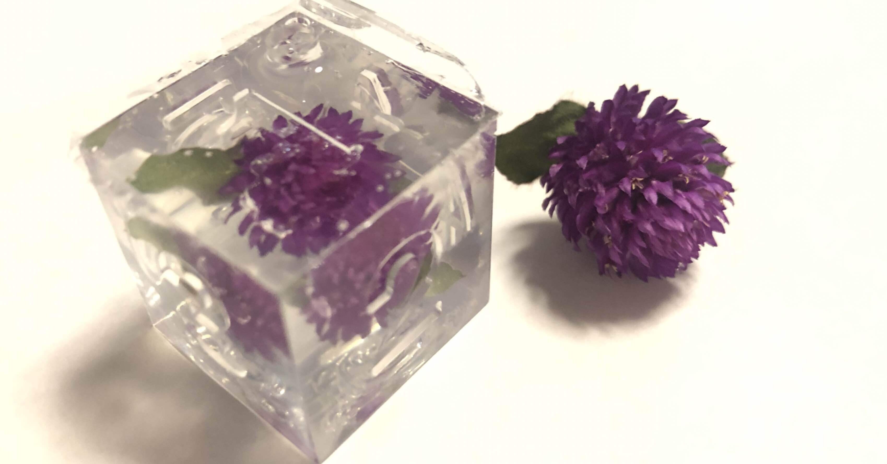 290701f316eefa7fc4ee6147e02fc4