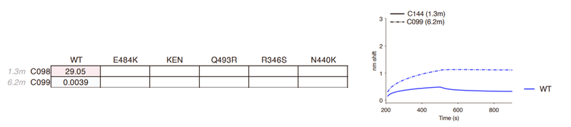 中和抗体の親和性成熟 図S1B-4