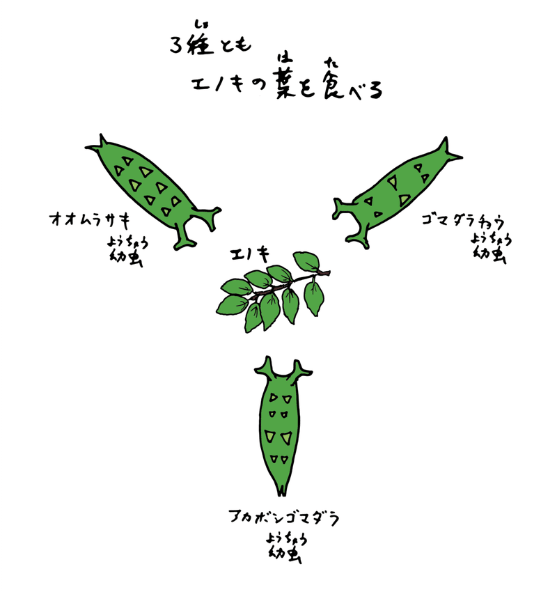 アセット 1xxxhdpi