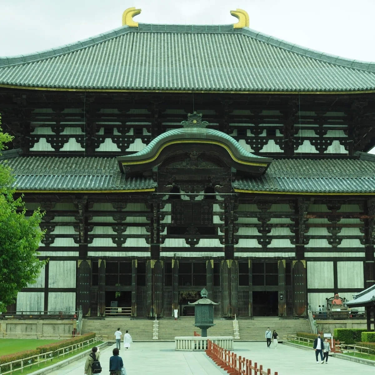 画像9