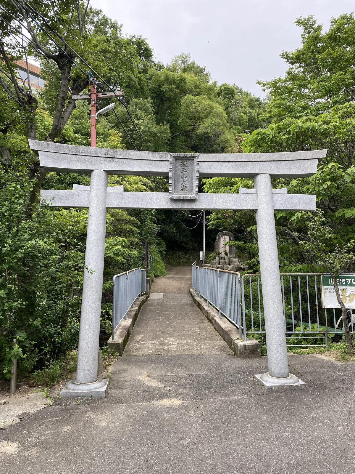 画像19