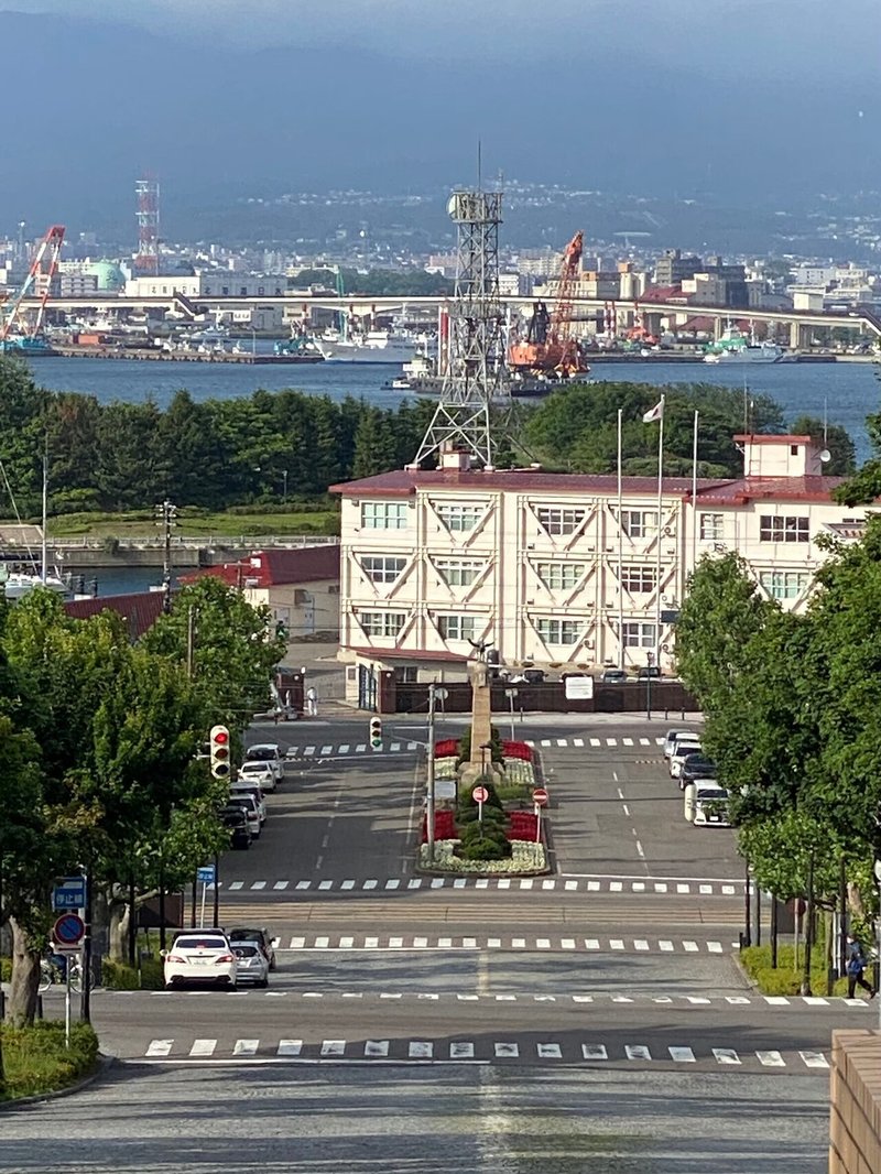 画像7