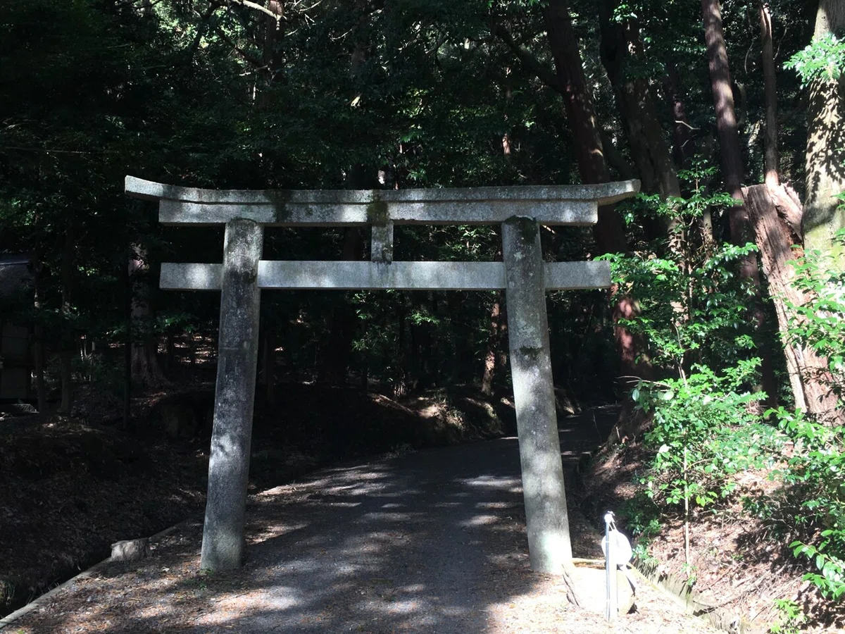 画像5