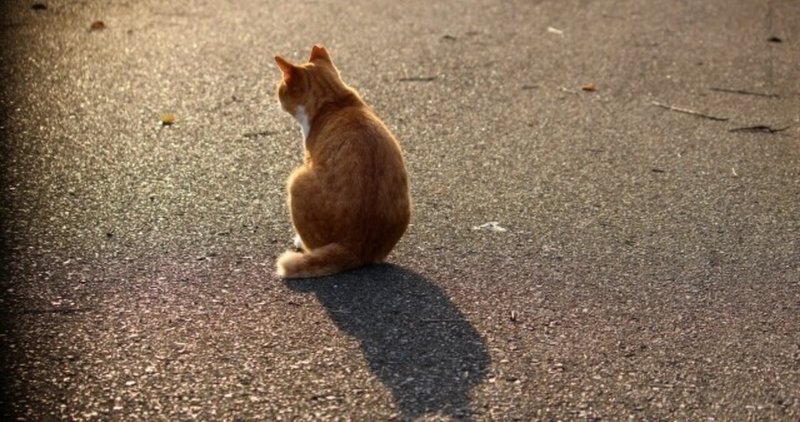 記事のご紹介 死んで喜ばれる悲しい人生 意地悪な人との付き合い方 意地悪な人が辛い 意地悪な言葉に傷つく時は 吉良真伊さん 団子虫丸 Note