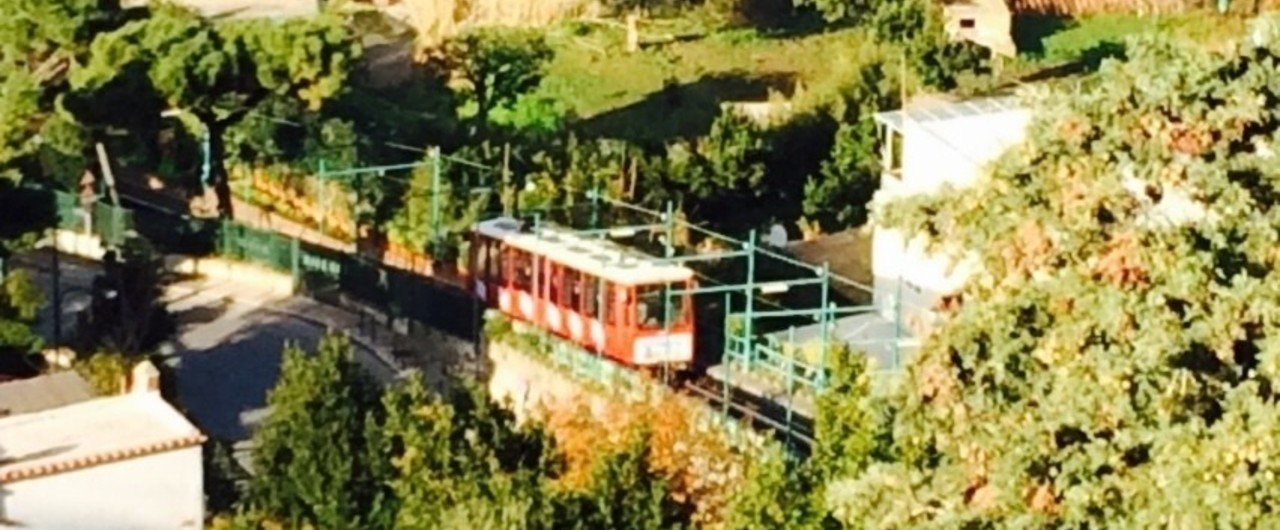 僕たちは怒り 怒られすぎている 上野智 Note