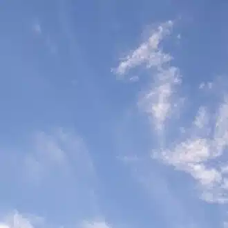 青木円香