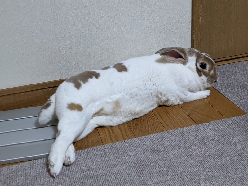 詠みますわよ さわきゆり Note