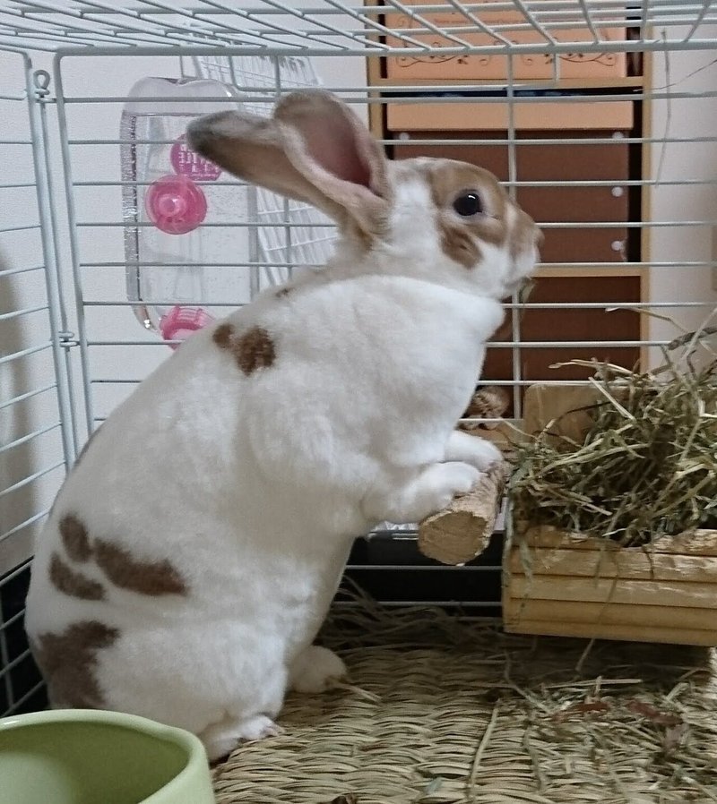 詠みますわよ さわきゆり Note