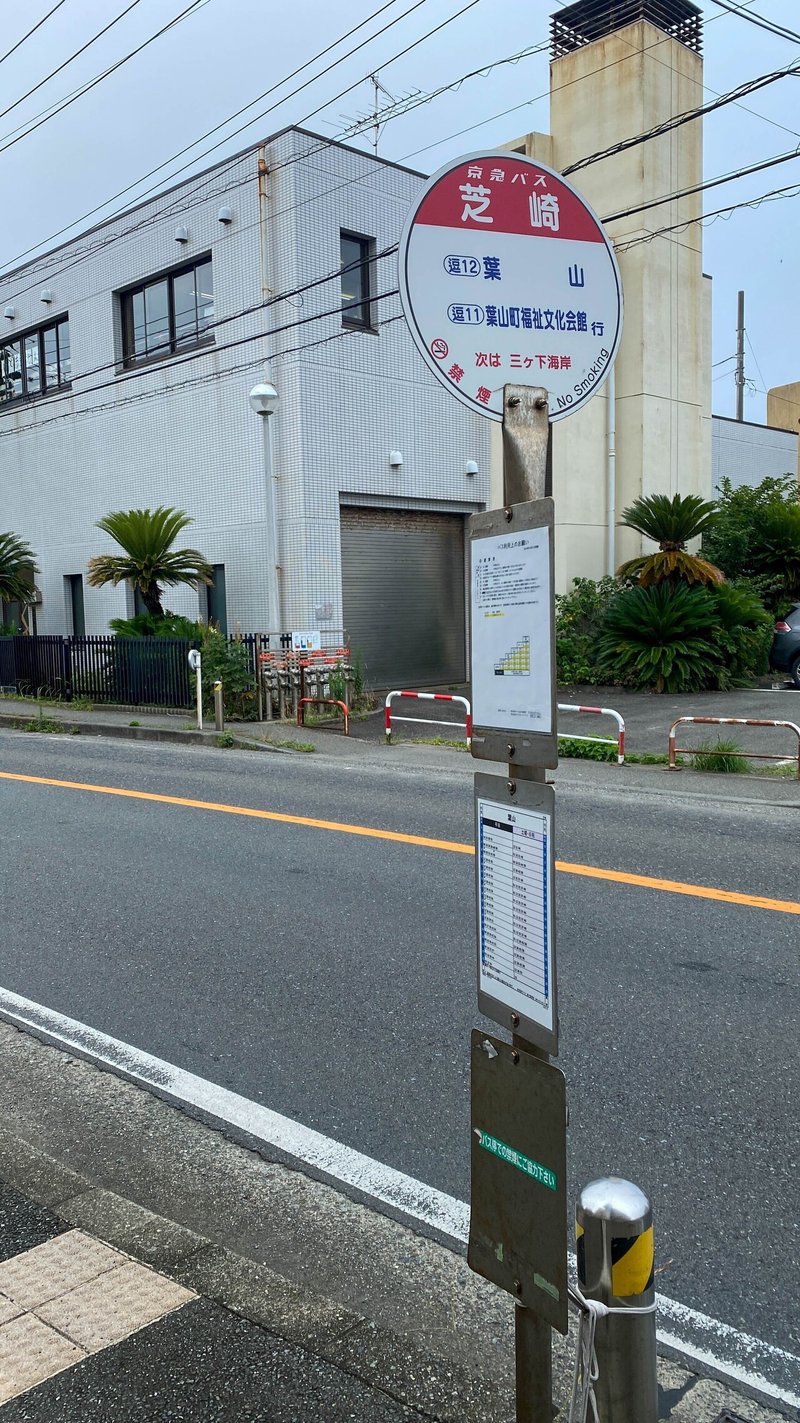 海日記 6 葉山 芝崎海岸での磯遊び ウミウシ探し ３ 海鞘 Note