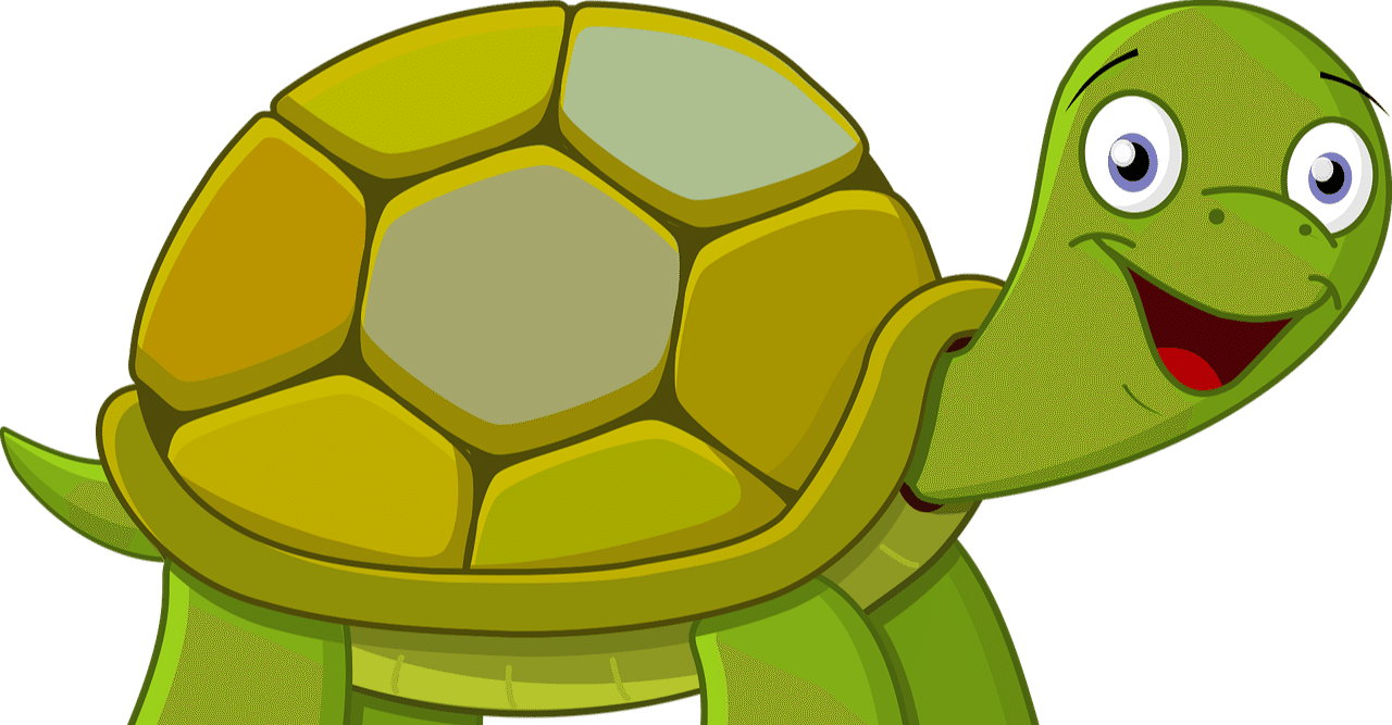 いちよう人間の飼い主と 人間になりたい愛亀の自己紹介 なっつ Note いちよう人間の飼い主と 人間になりたい愛亀の自己紹介 なっつ Note