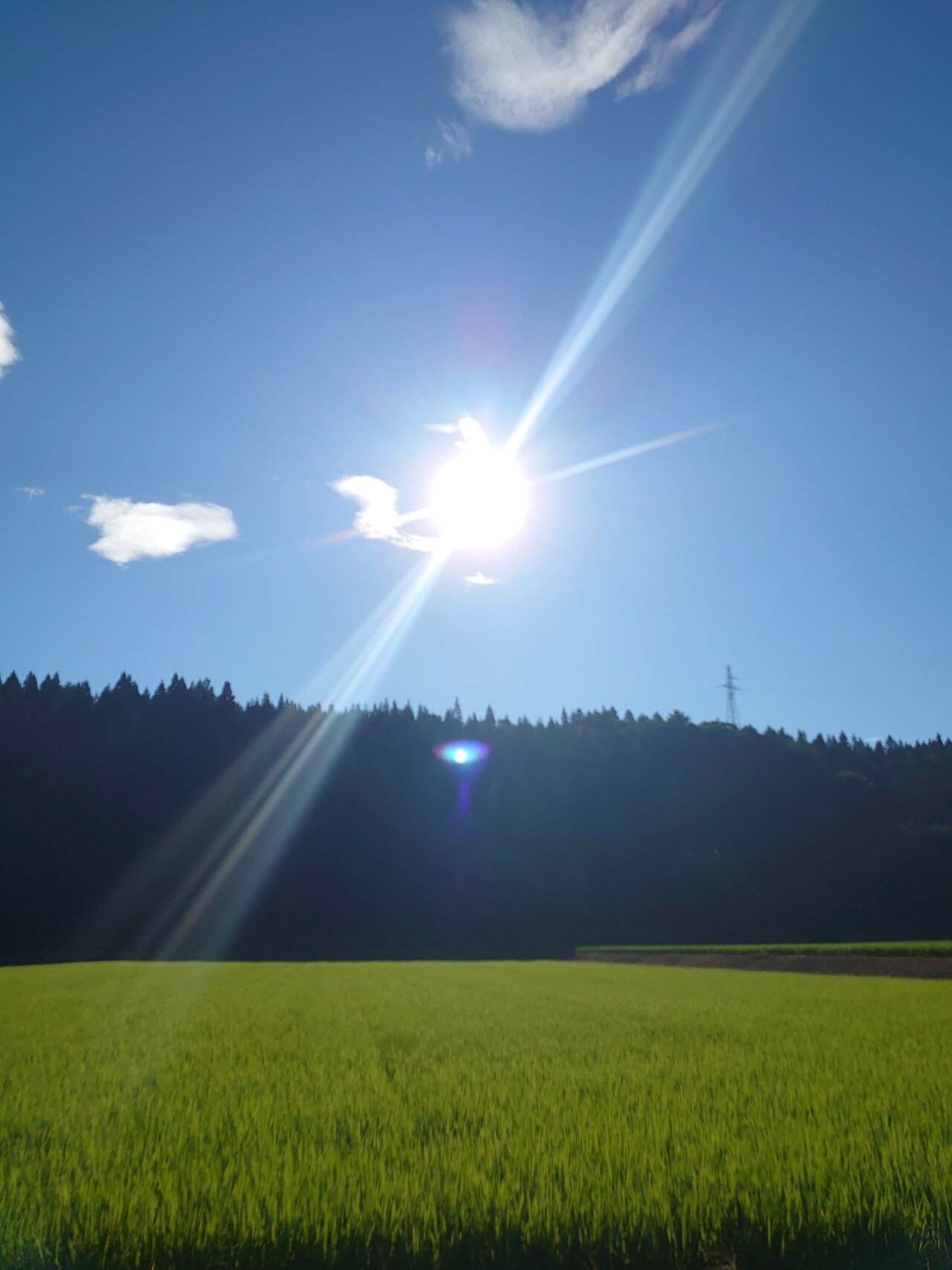真夏の太陽 朝編 Takaya Ryu Note