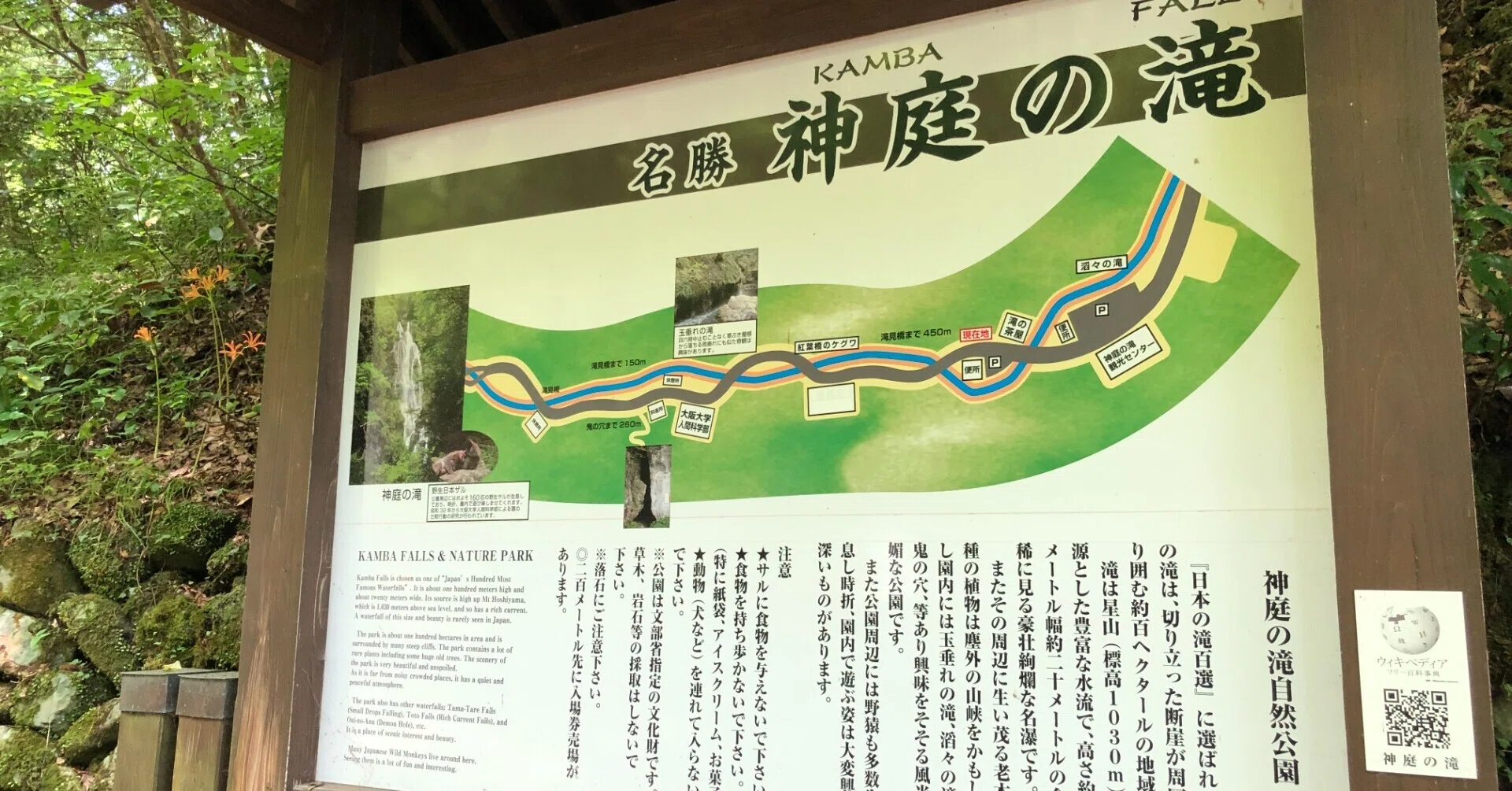 観光リポート～「神庭の滝（かんばのたき）」カラダ全体でマイナス
