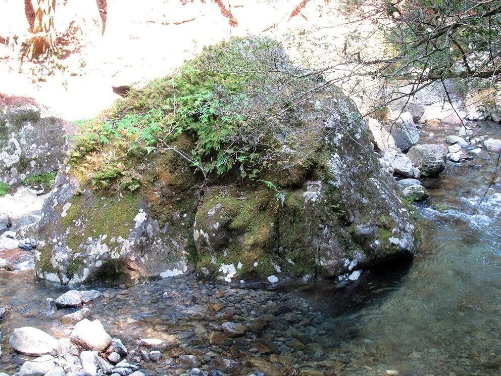 7男川巨石