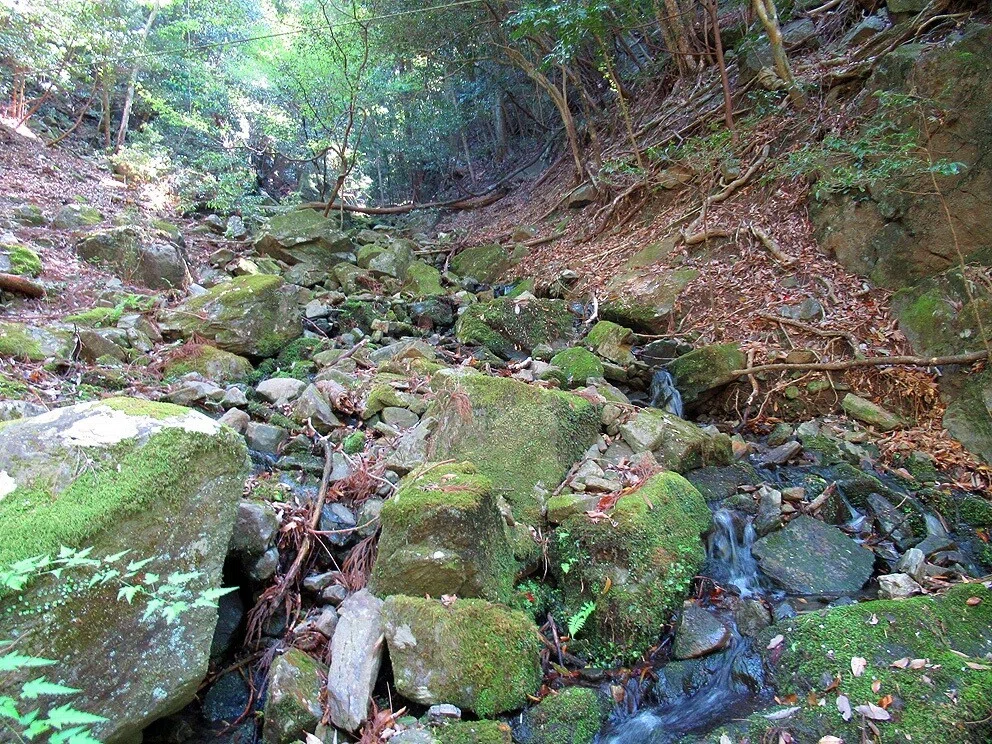 8水路