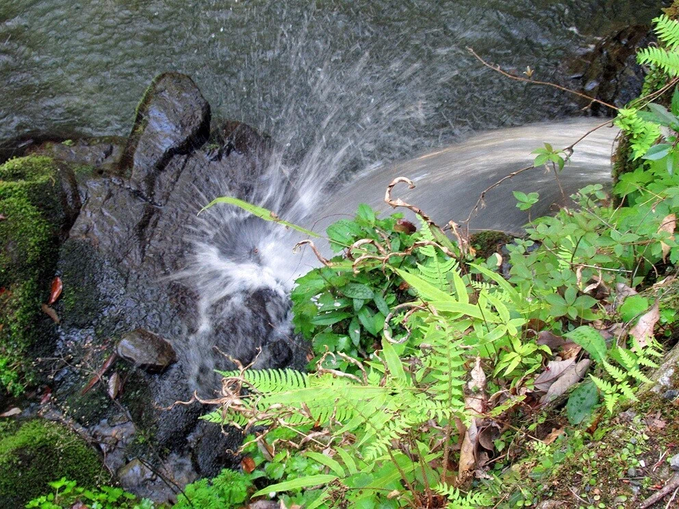 9落水