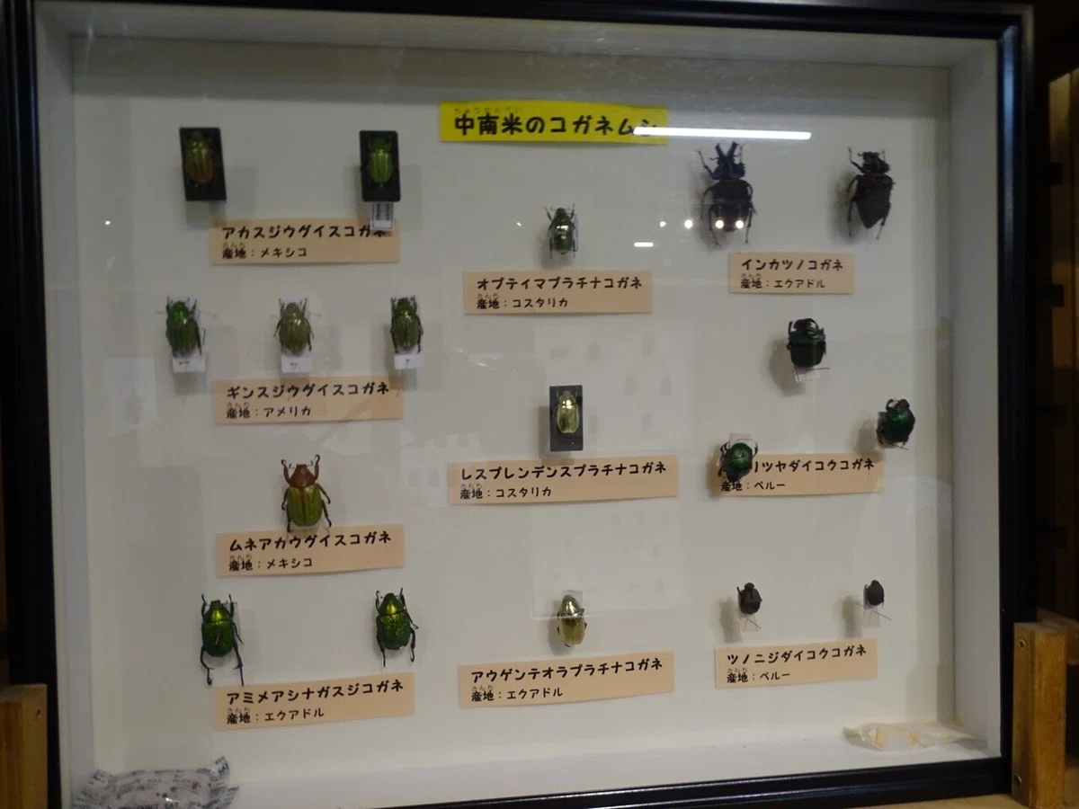 画像35