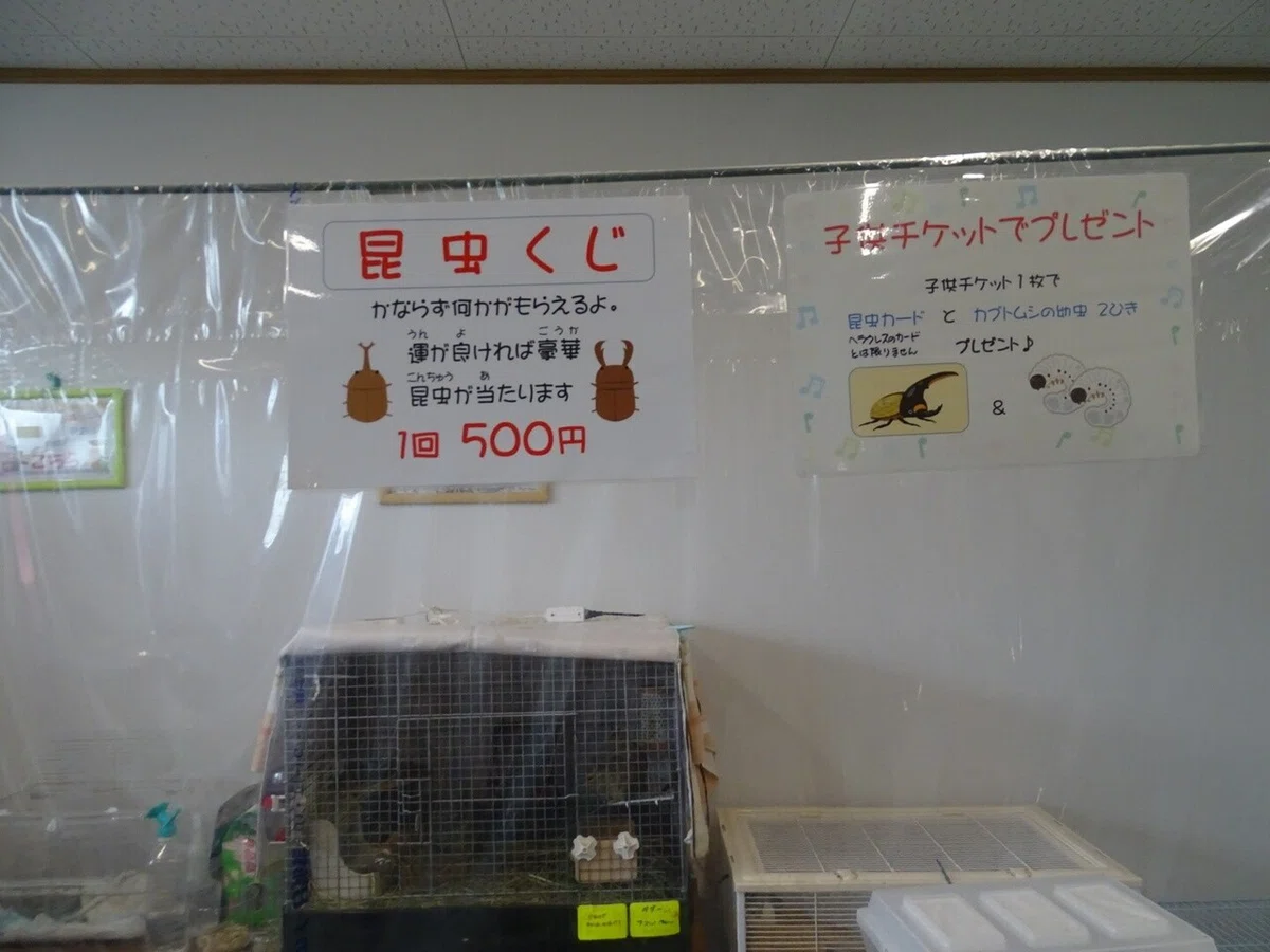 画像11