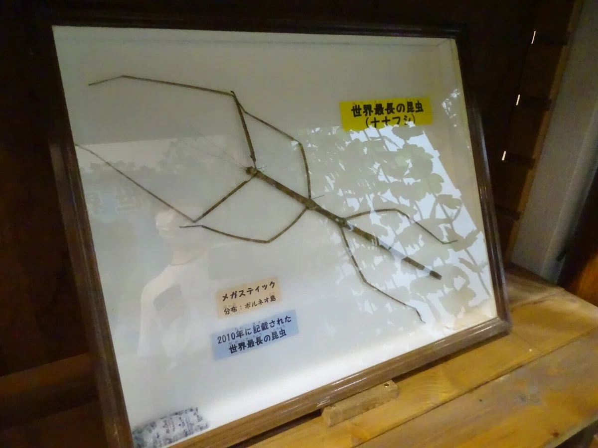 画像17