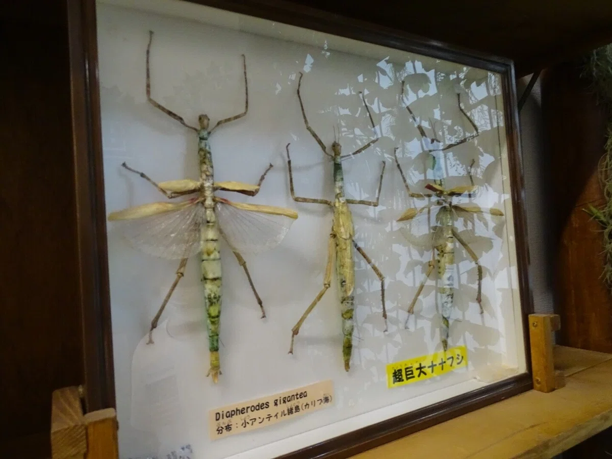 画像18