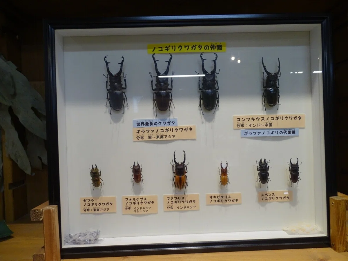 画像32