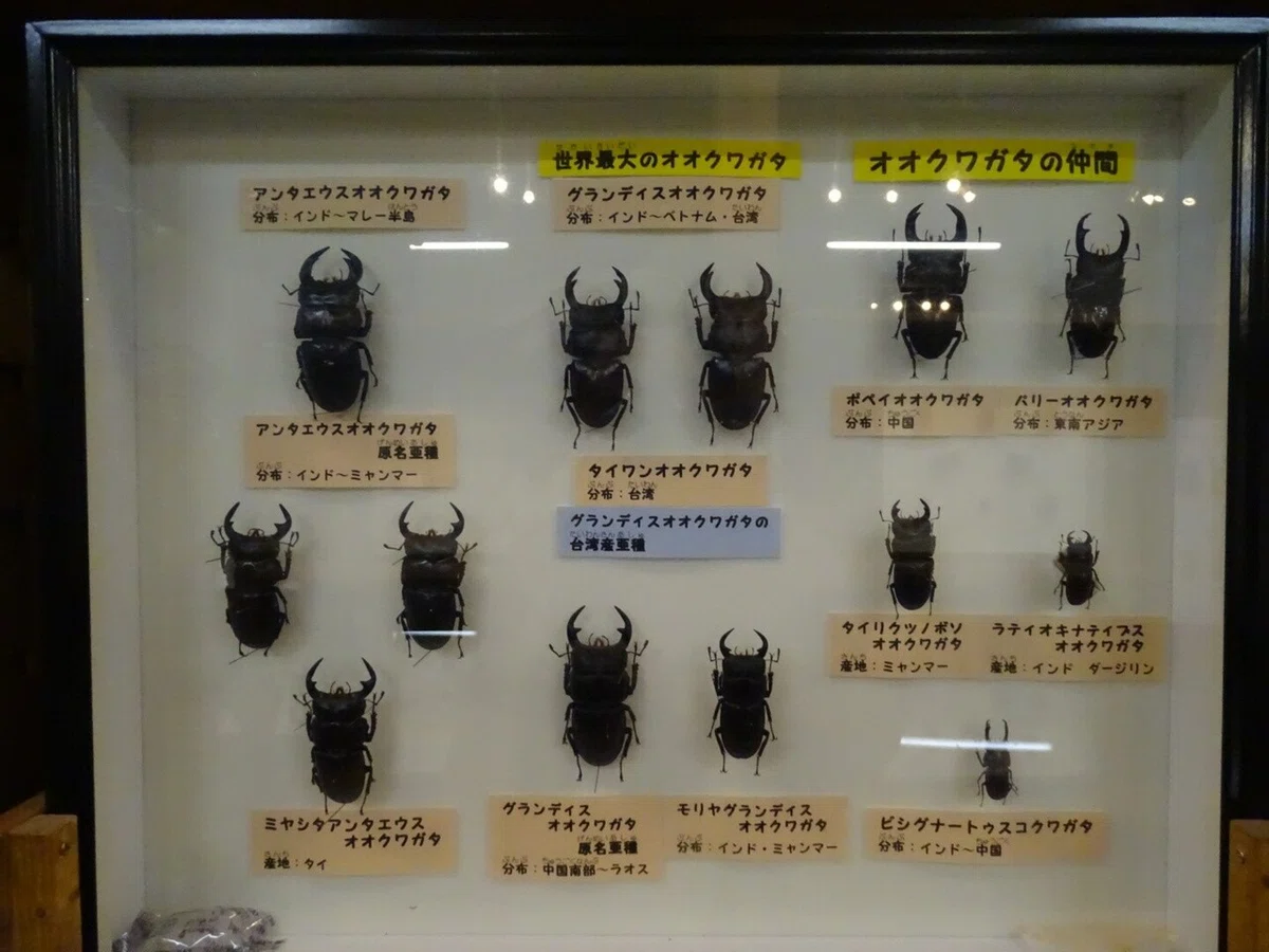 画像30