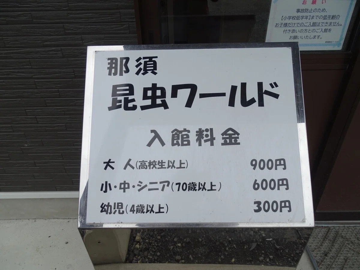 画像16